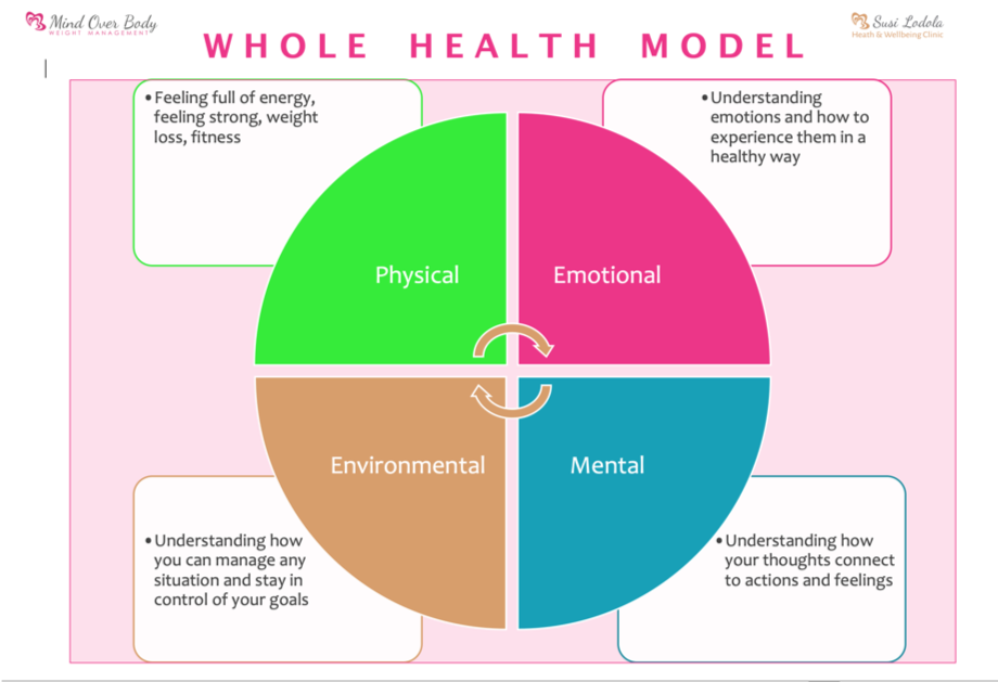 What Are The Four Models Of Healthcare